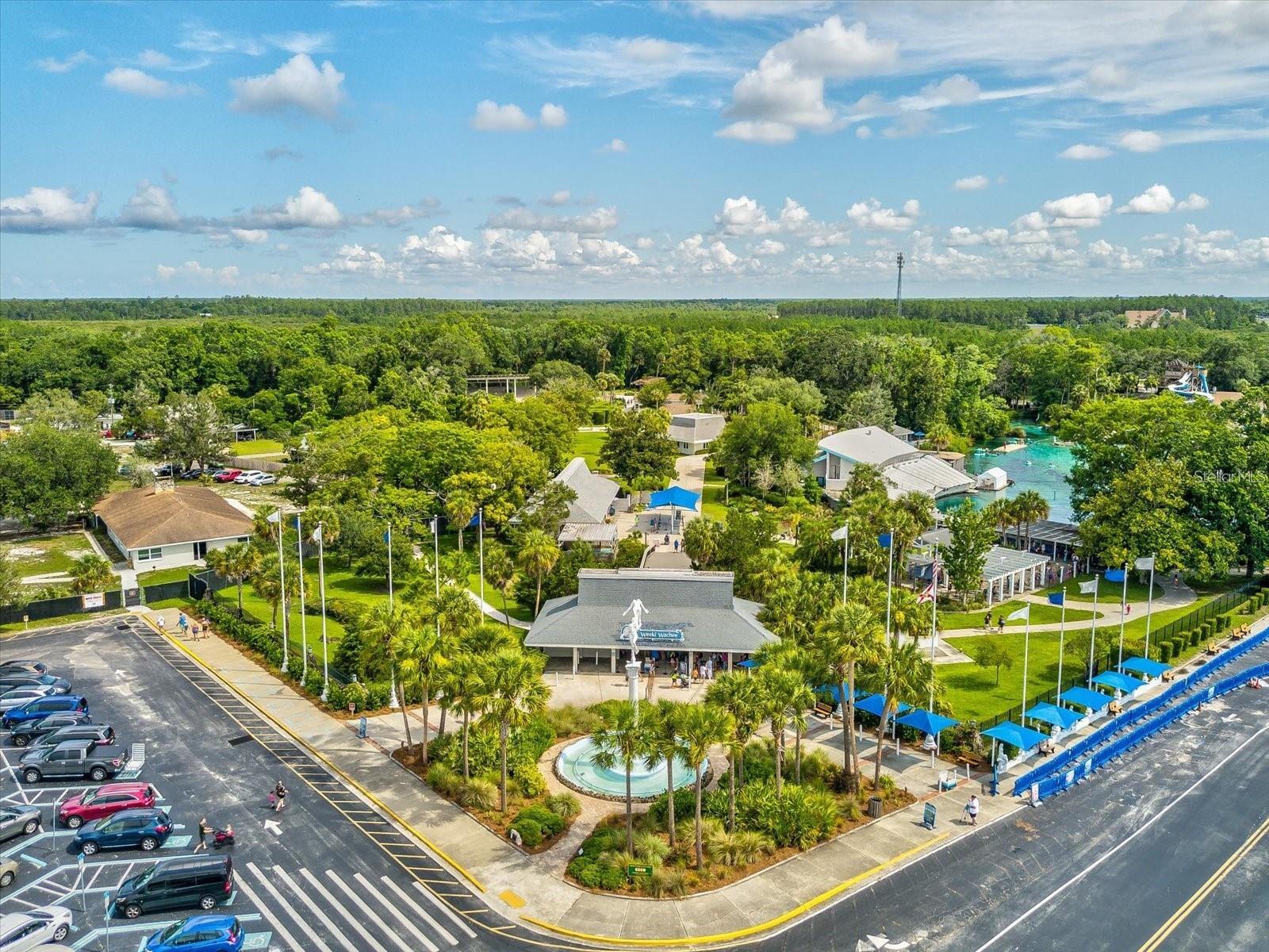 Image 63 of 67 For 3447 Palometa Drive