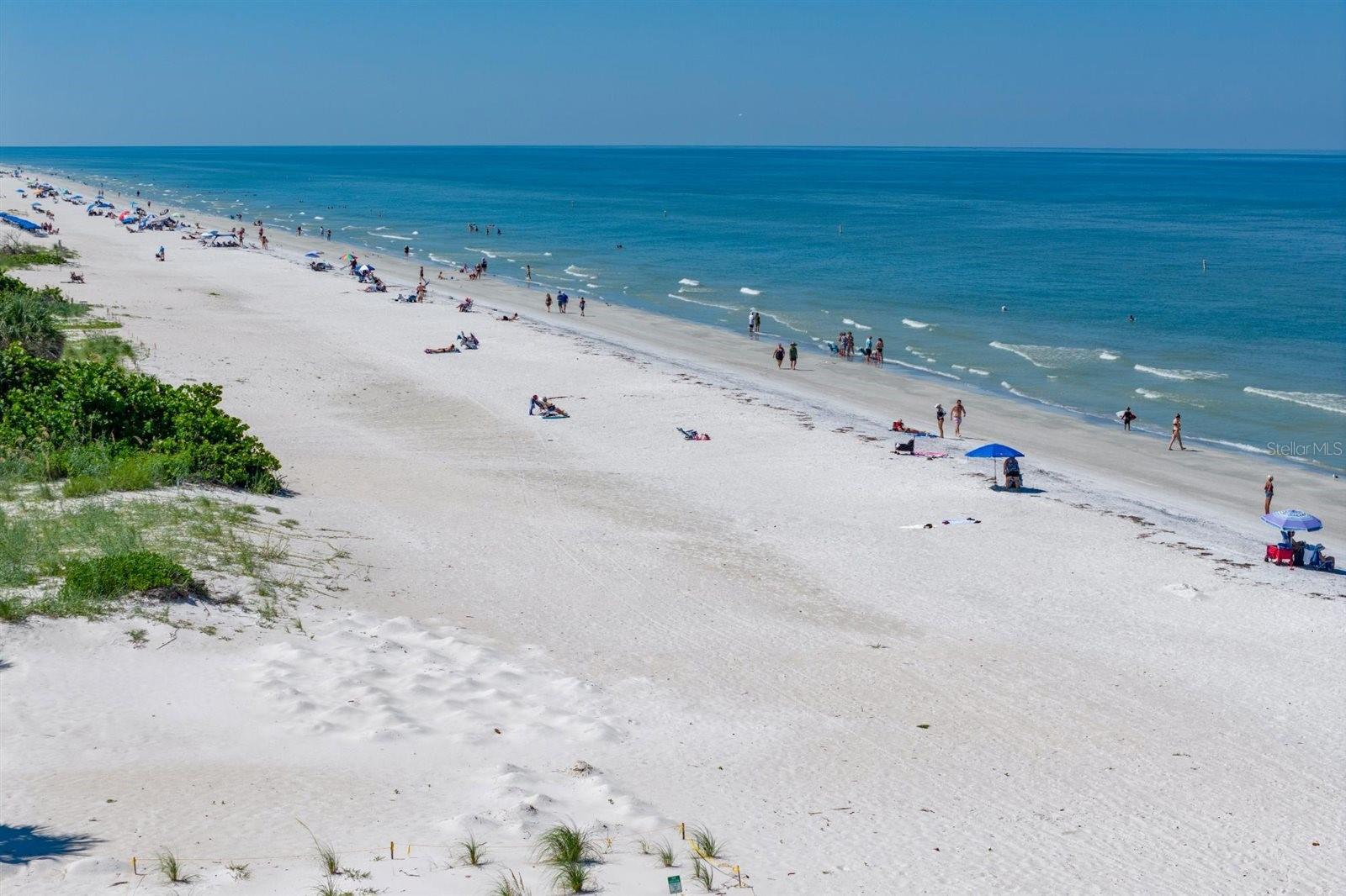 Image 78 of 84 For 2205 Gulf Boulevard B