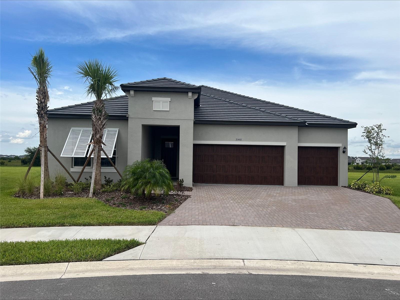 Details for 34161 Cardinal Yard Drive, SAN ANTONIO, FL 33576