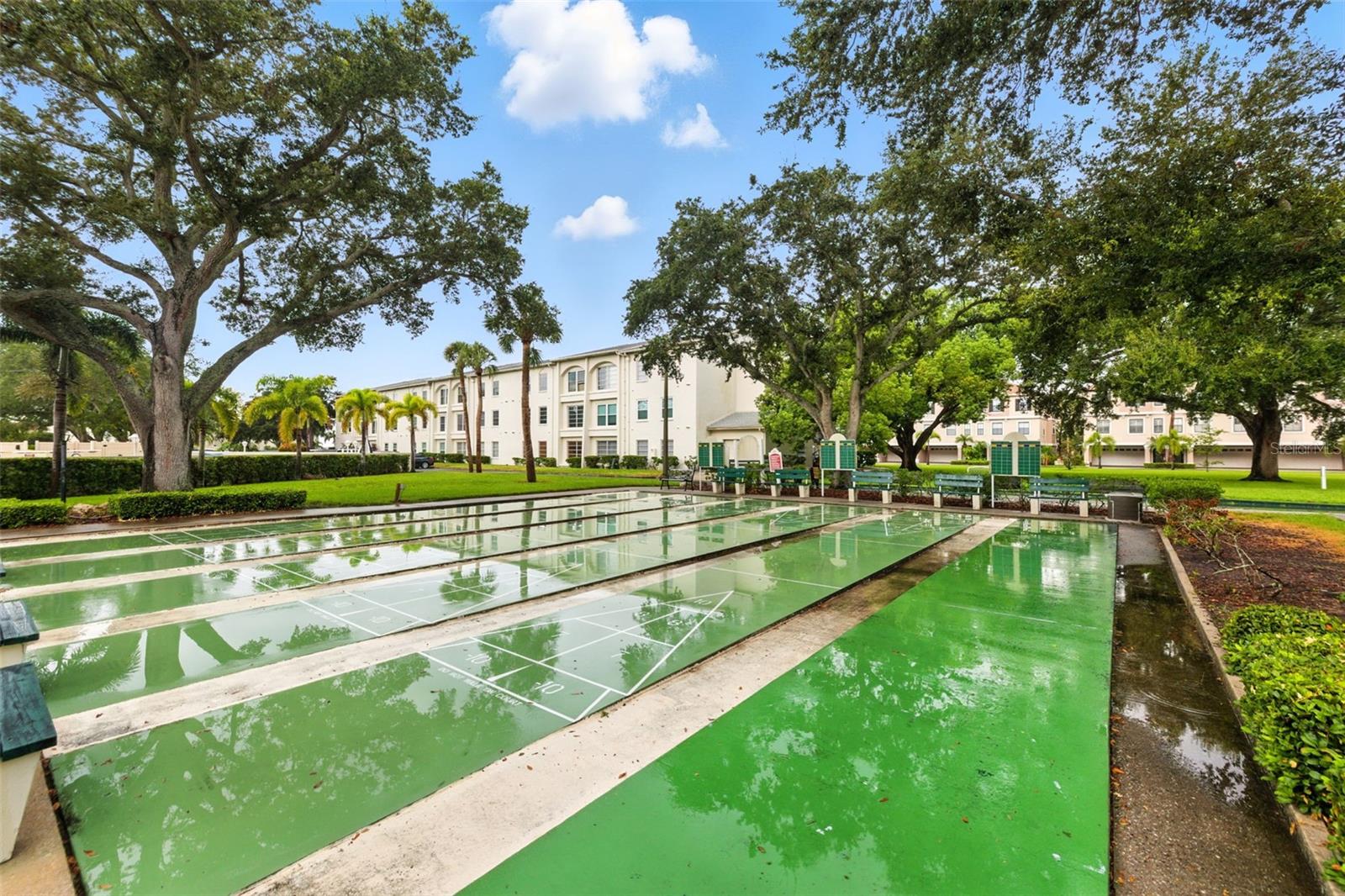 Image 29 of 40 For 2700 Bayshore Boulevard 4102