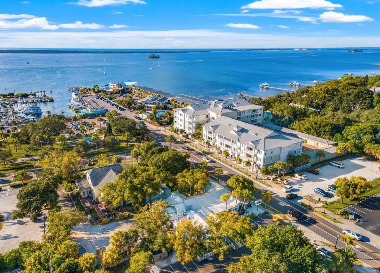 Image 37 of 40 For 2700 Bayshore Boulevard 4102