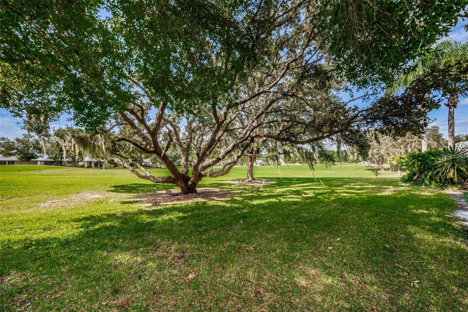 Image 7 of 22 For 1203 Hagen Drive