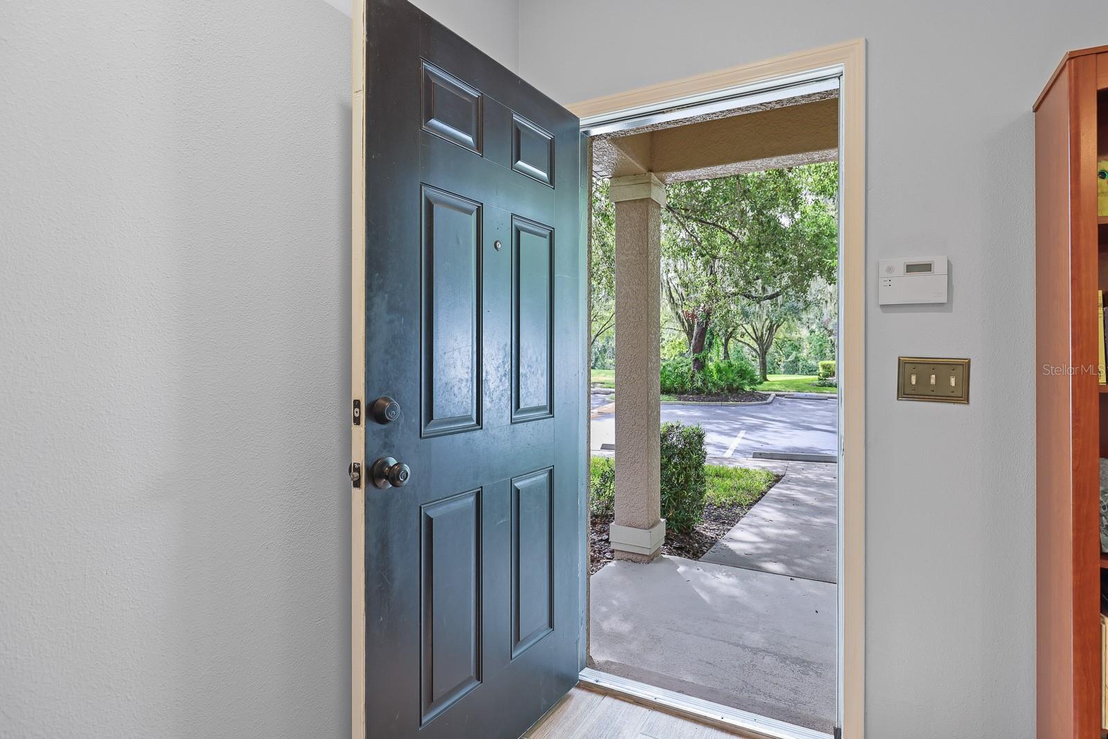 Image 4 of 36 For 15928 Fishhawk View Drive