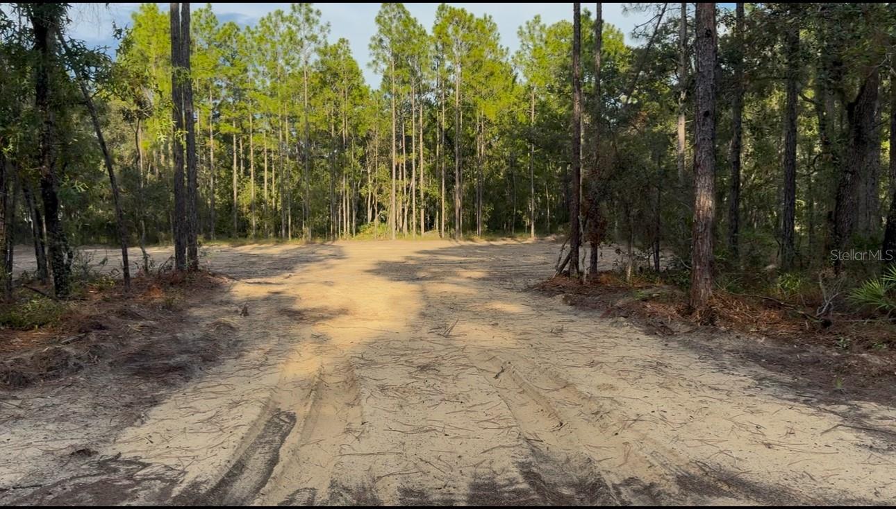 Image 3 of 5 For 16072 Marsh Quail Road