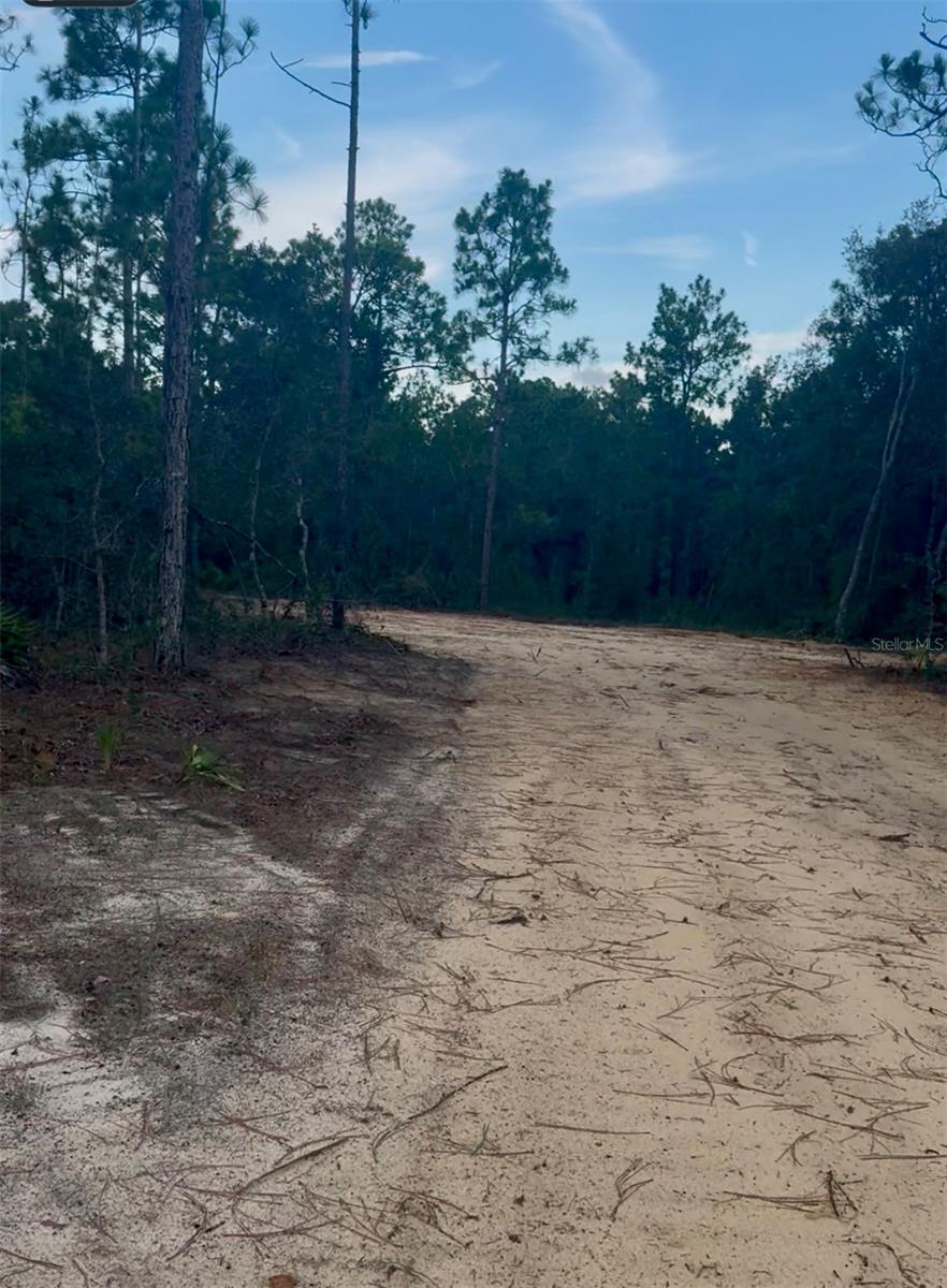 Image 5 of 5 For 16072 Marsh Quail Road