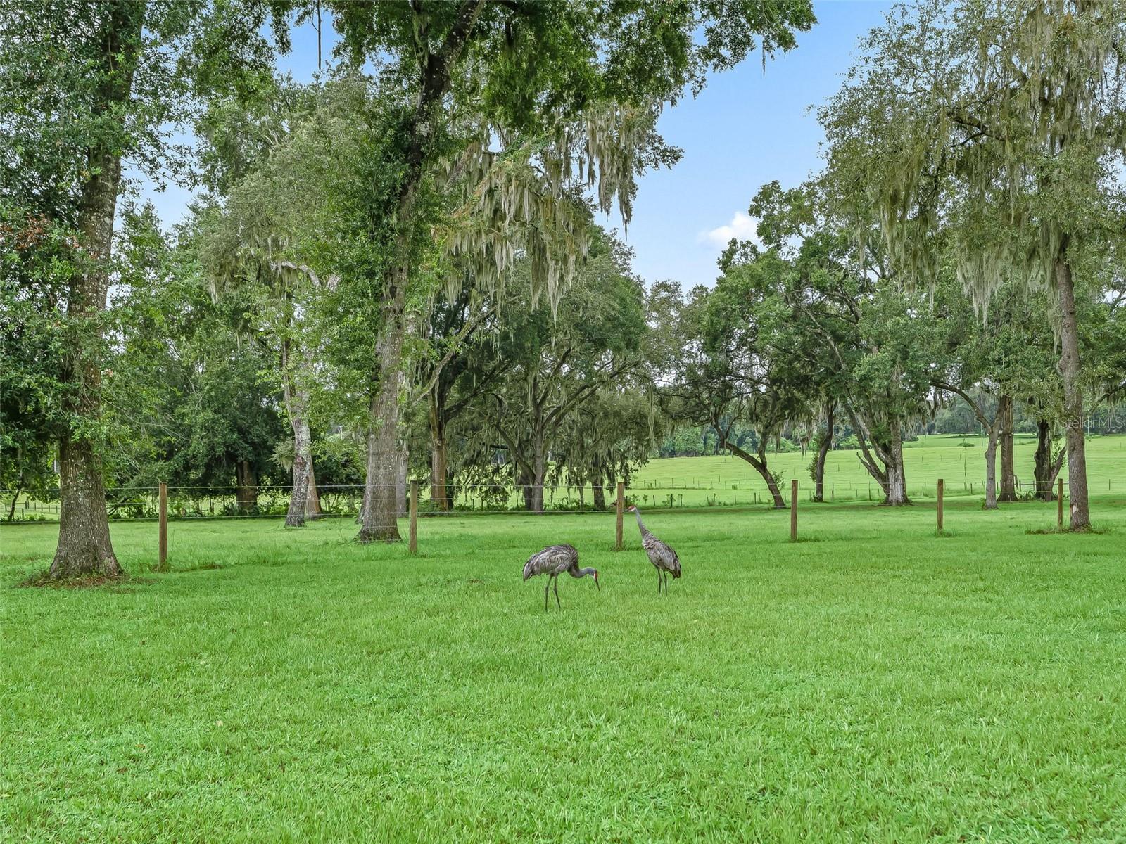 Image 53 of 60 For 5759 Cr 575  