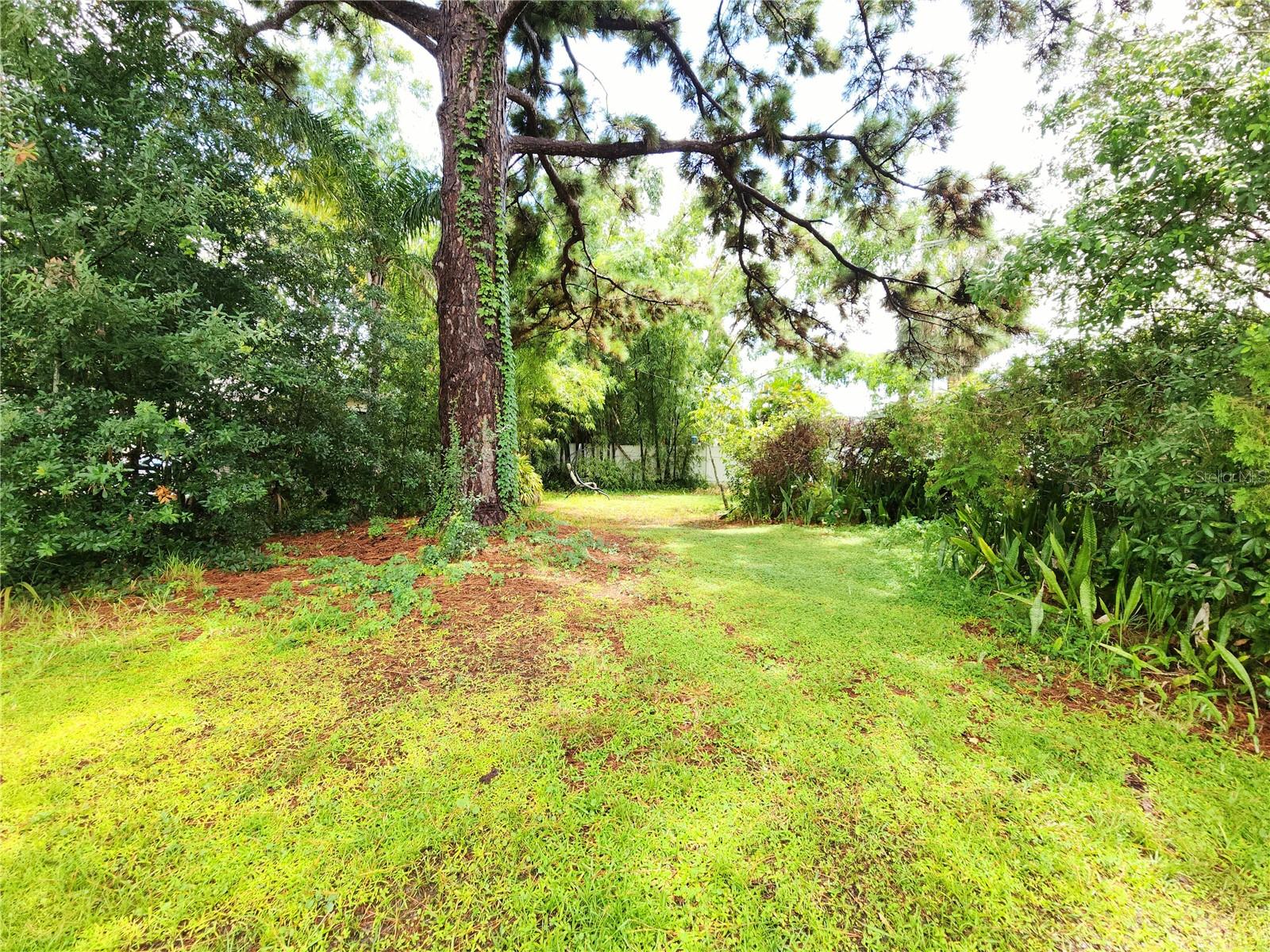 Image 12 of 26 For 1984 64th Avenue N