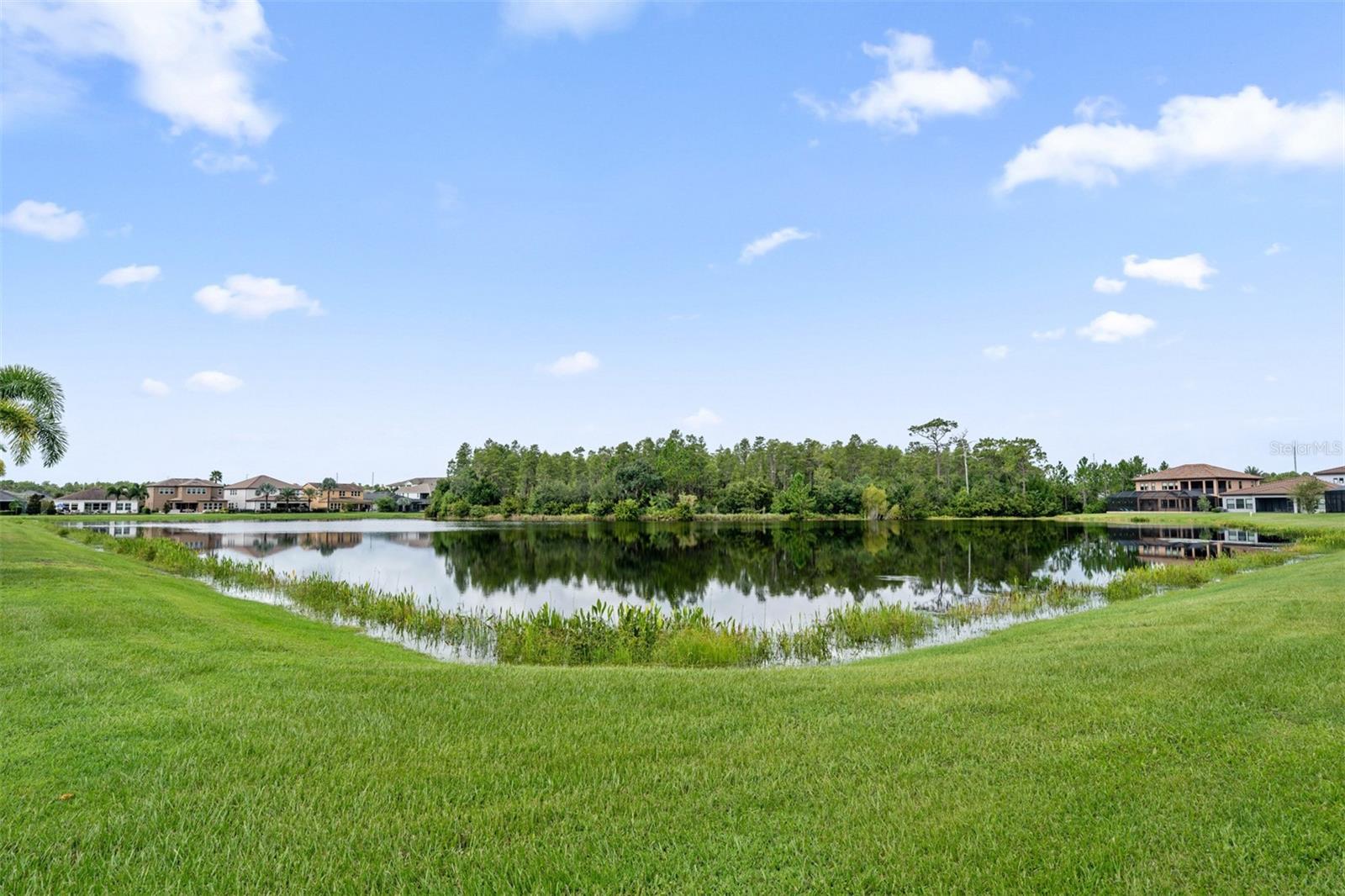 Image 42 of 44 For 18006 Pine Hammock Boulevard