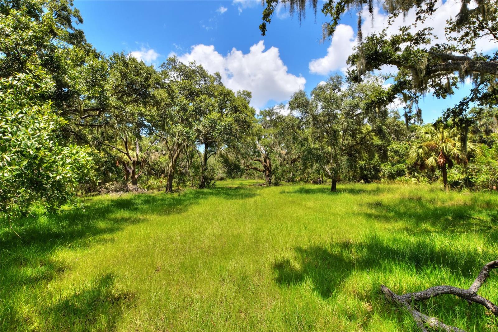 Listing photo id 15 for 6838 Mary Lou Drive
