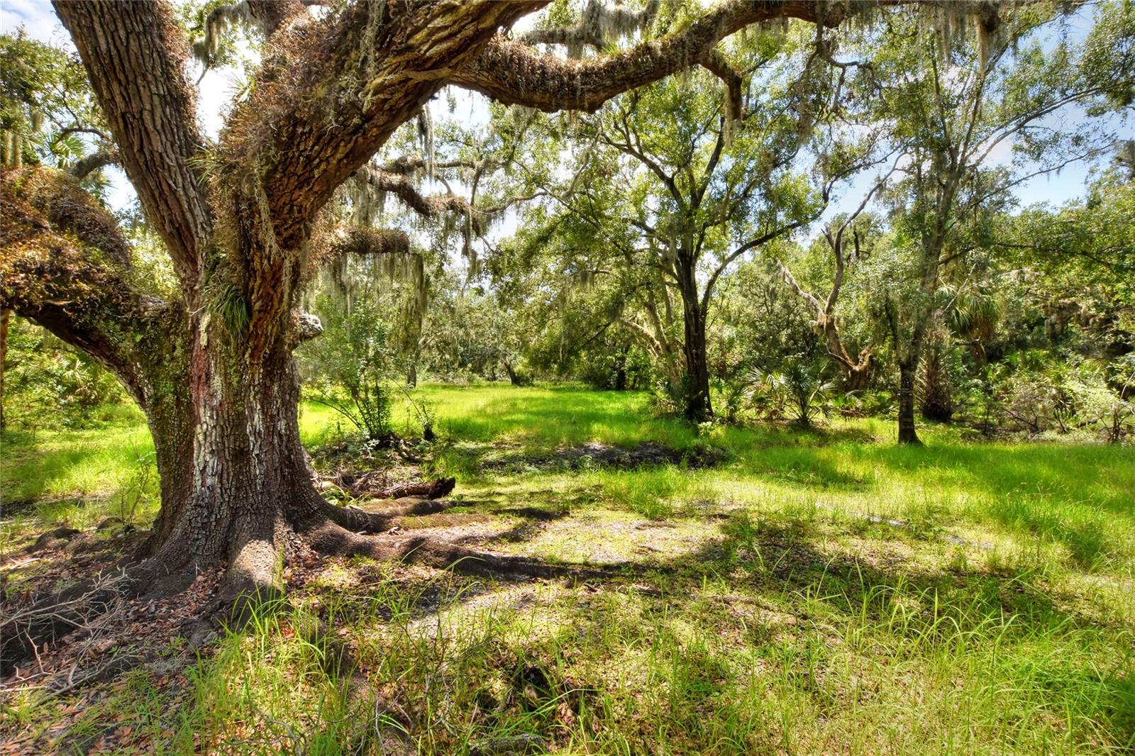 Listing photo id 18 for 6838 Mary Lou Drive