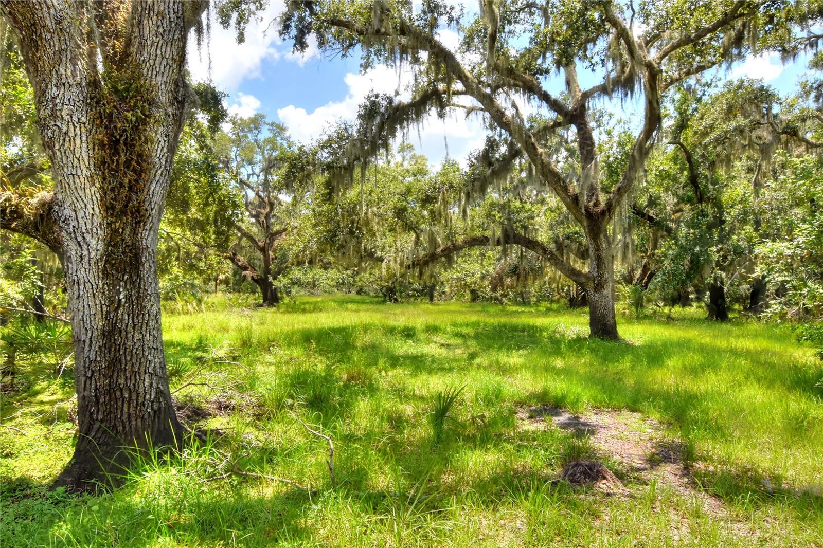 Listing photo id 22 for 6838 Mary Lou Drive