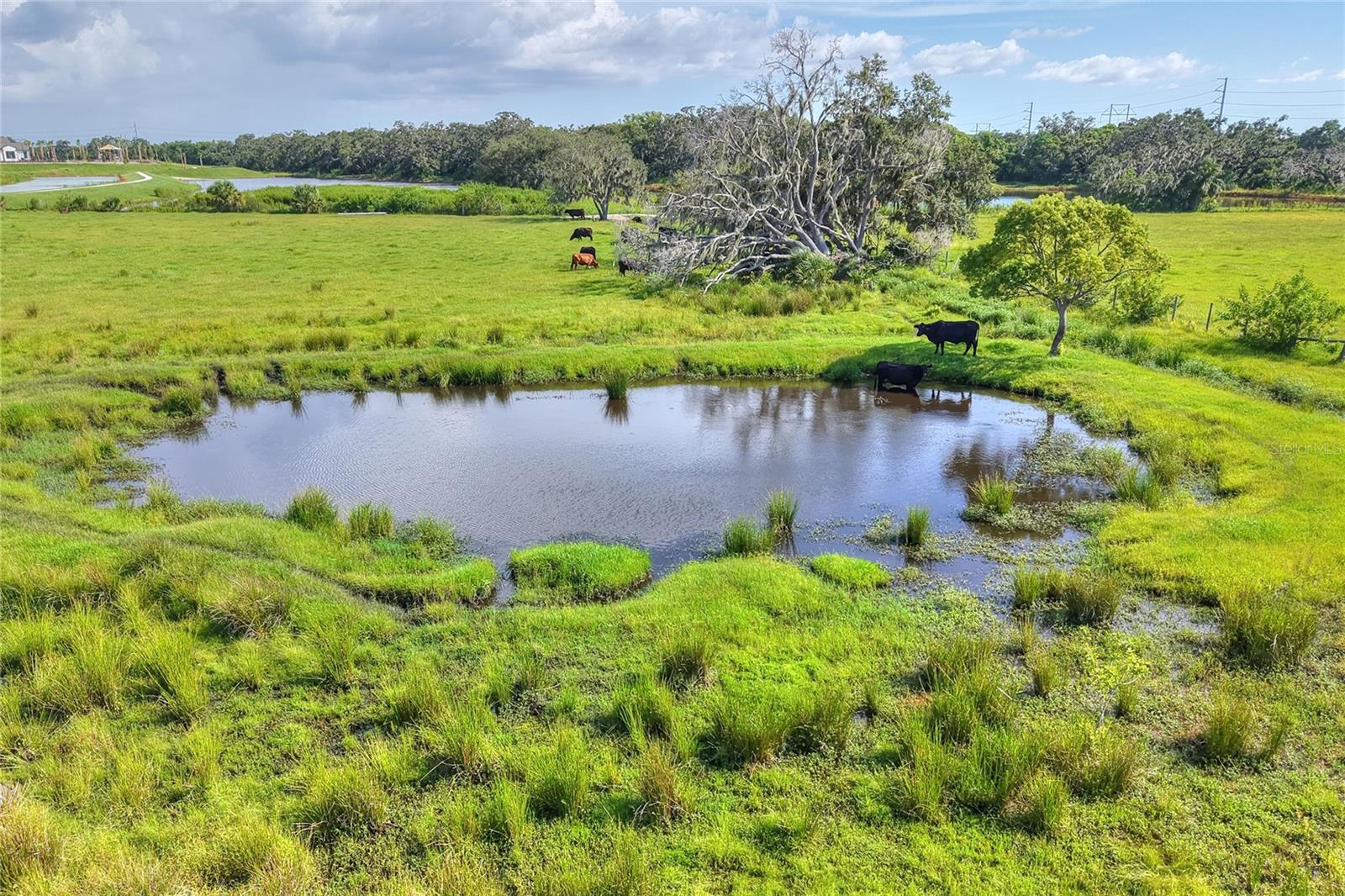 Listing photo id 25 for 6838 Mary Lou Drive