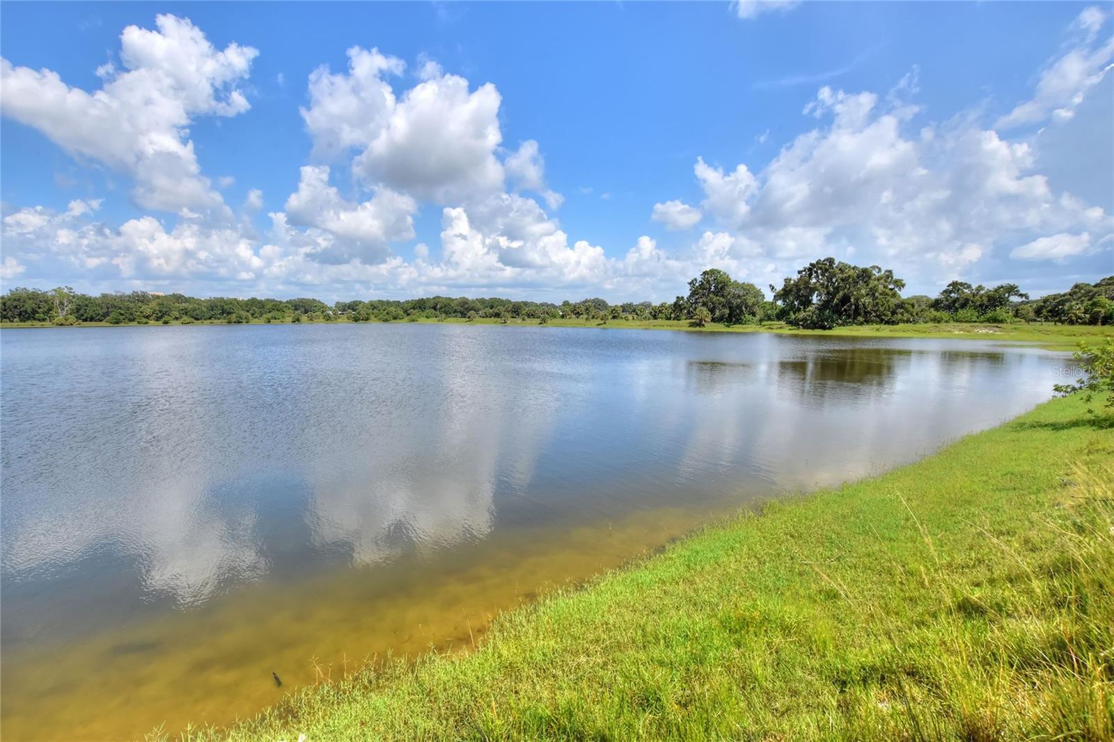 Listing photo id 3 for 6838 Mary Lou Drive