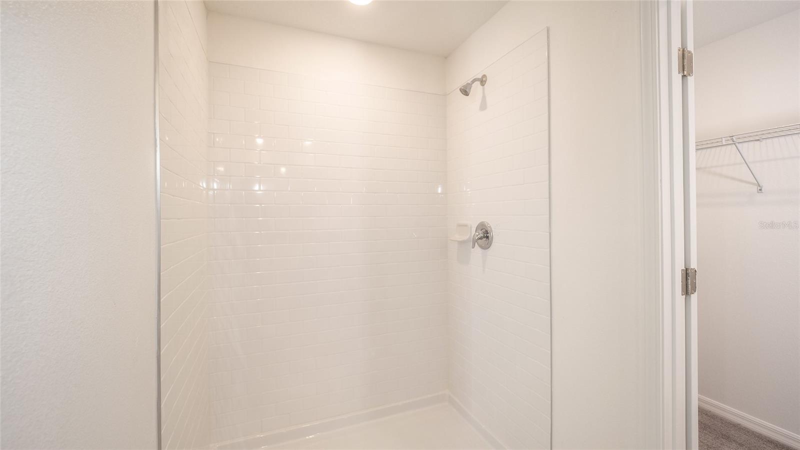 Image 19 of 38 For 10069 Branching Ship Trace