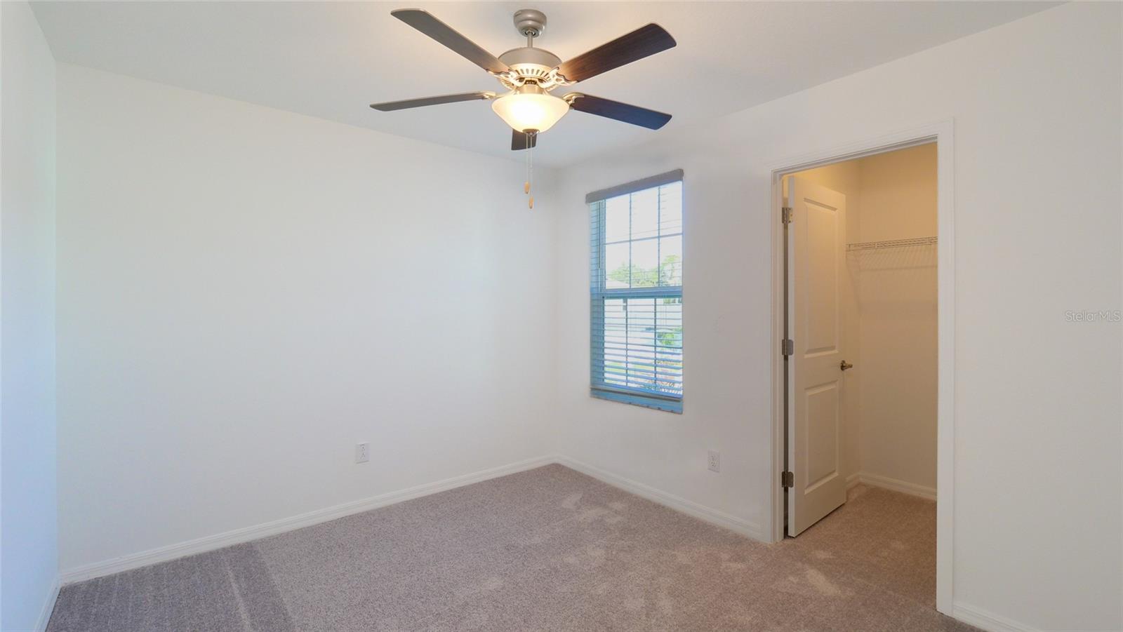 Image 28 of 38 For 10069 Branching Ship Trace