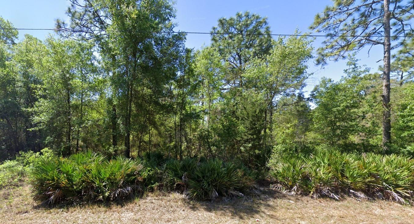Details for 7350 Village Drive, HOMOSASSA, FL 34446
