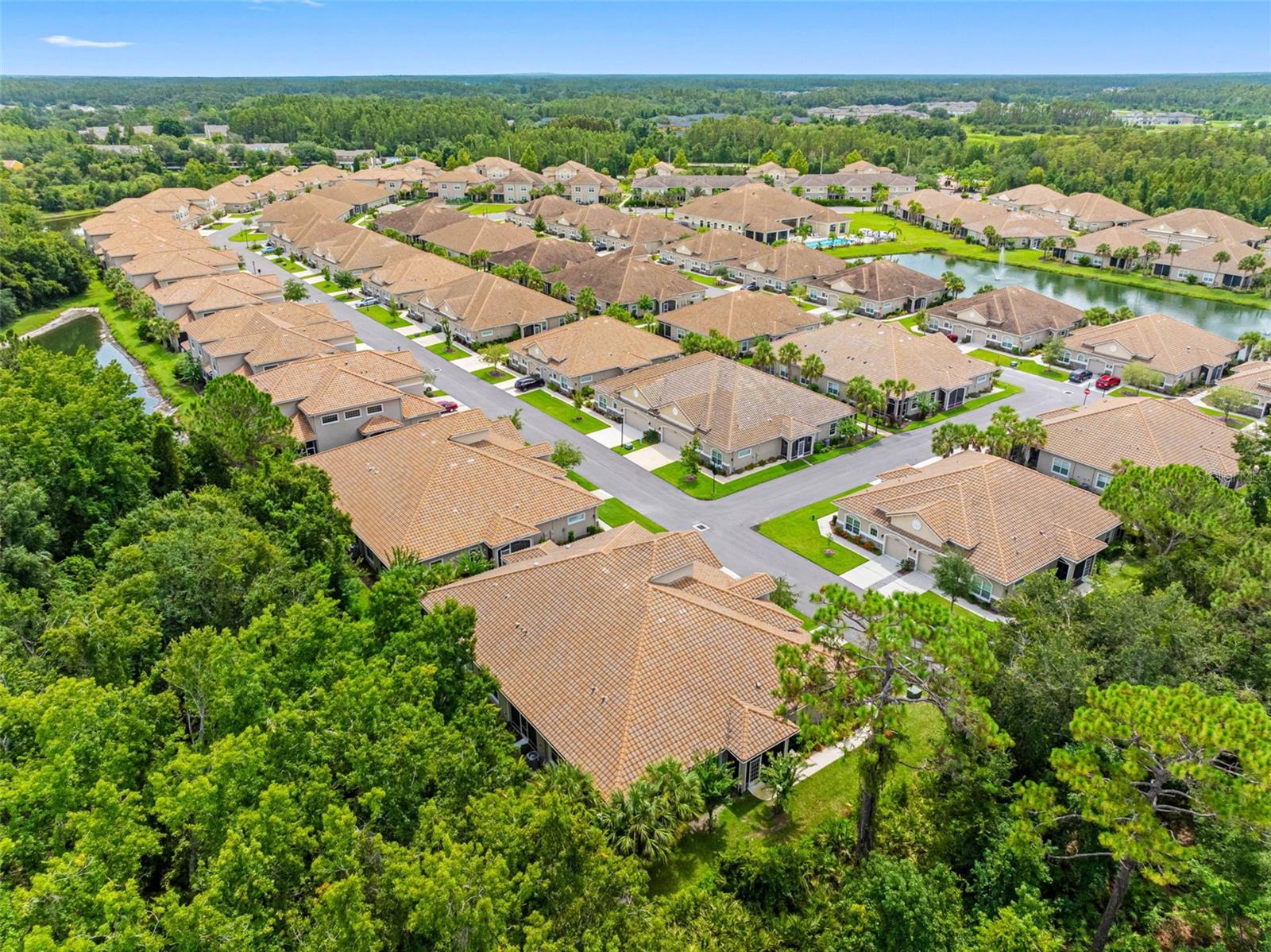 Image 87 of 94 For 29817 Ganga Way