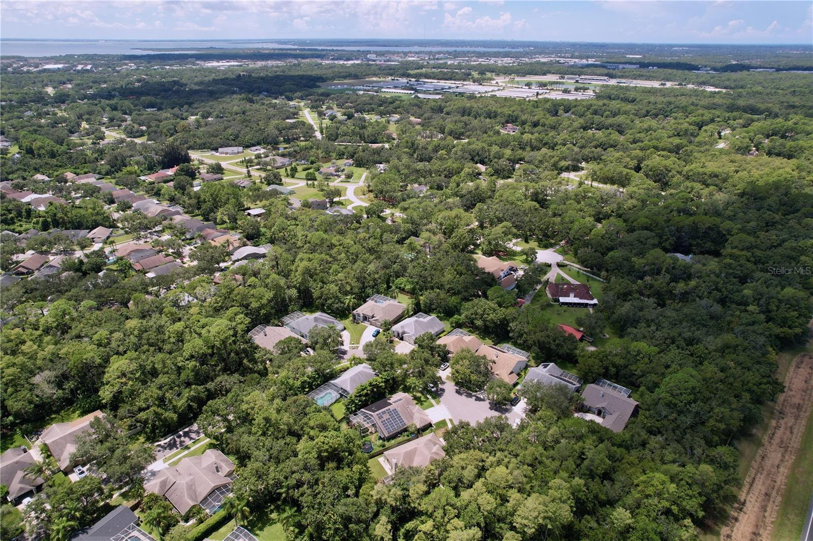 Listing photo id 75 for 10615 Chambers Drive