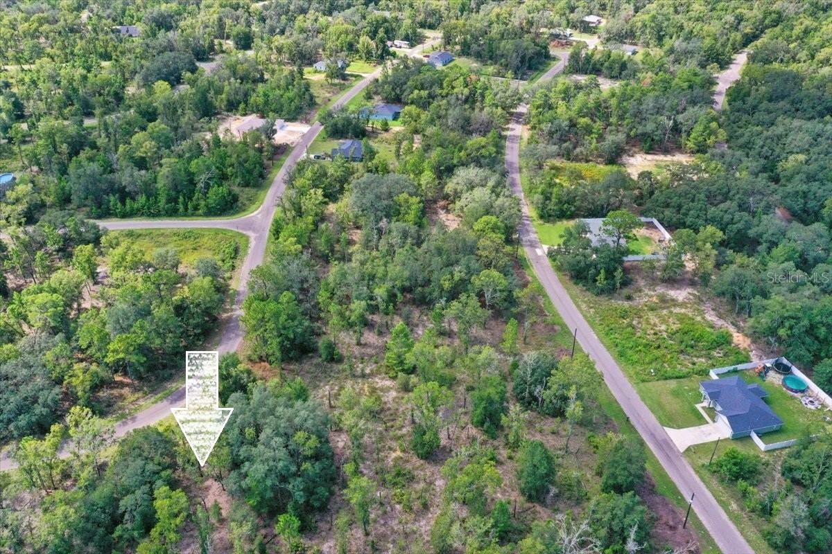 Details for 0024 Guava Pass Drive, OCKLAWAHA, FL 32179