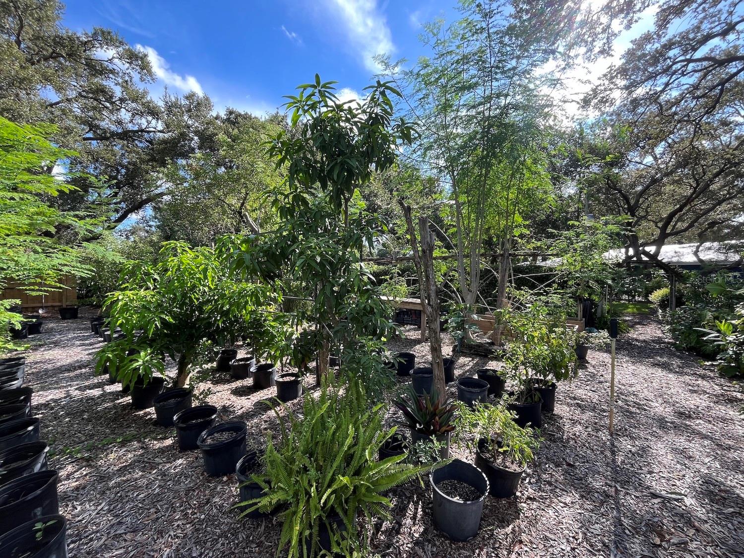 Image 33 of 53 For 1880 Belleair Road