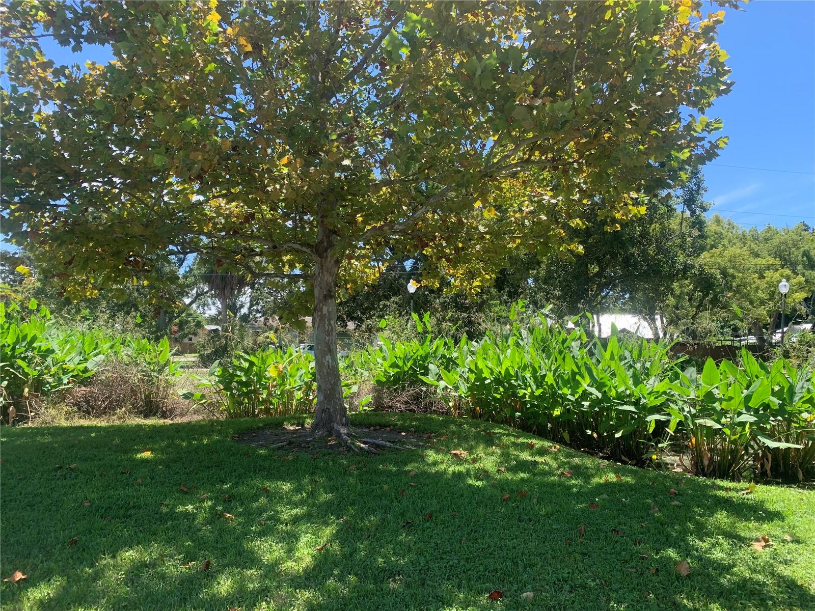 Image 43 of 46 For 5105 Tangerine Avenue S