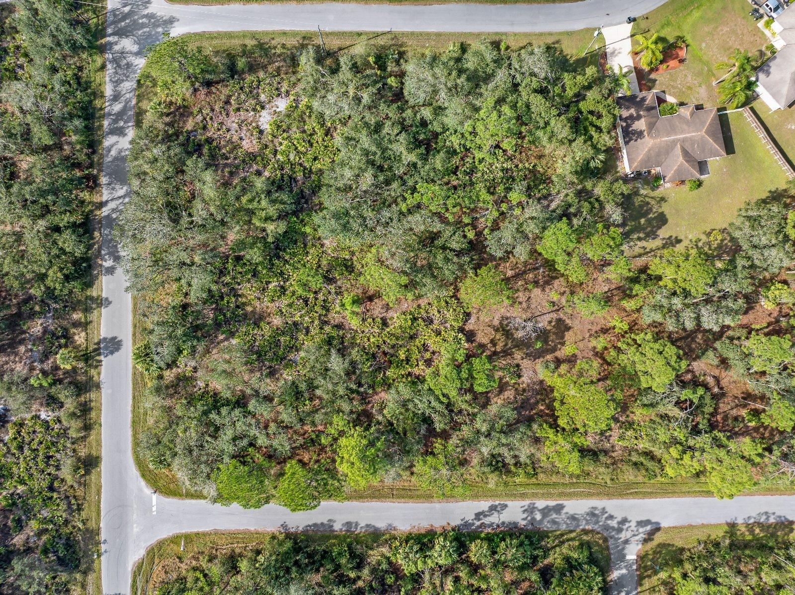 Image 15 of 19 For Haftel Street