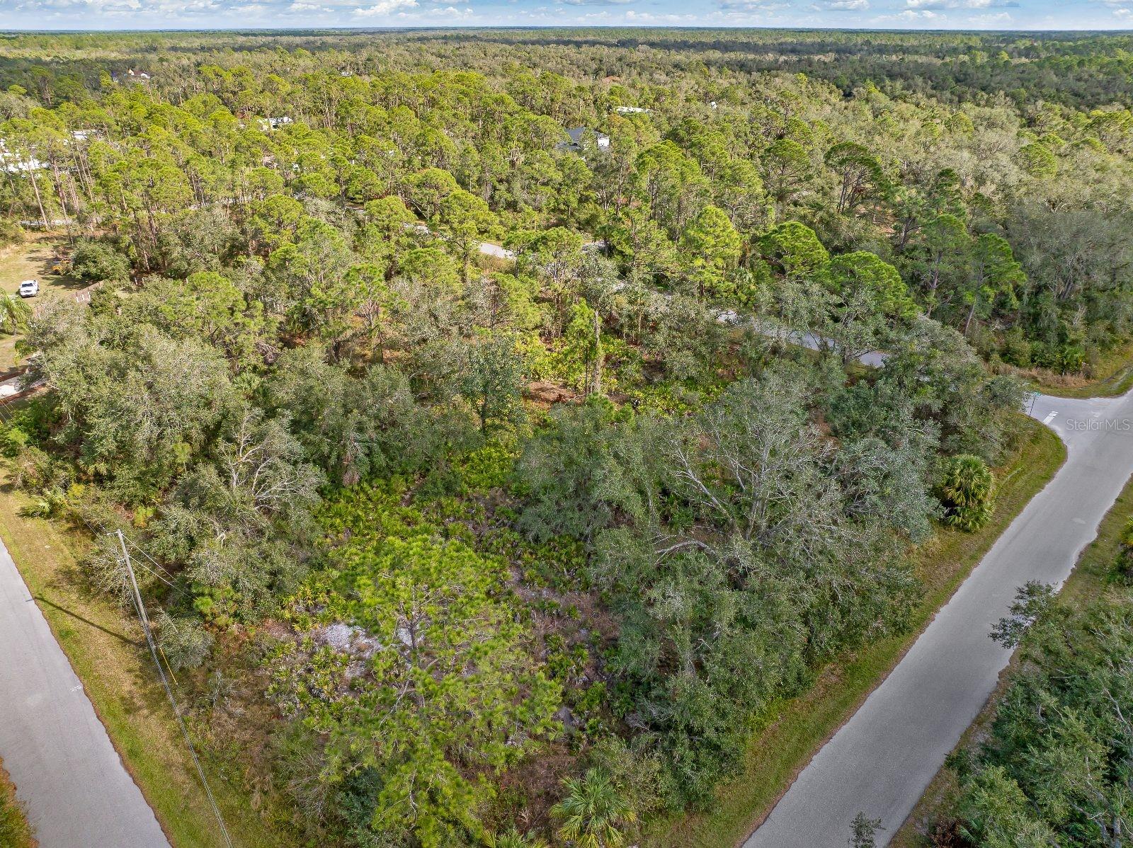 Image 16 of 19 For Haftel Street