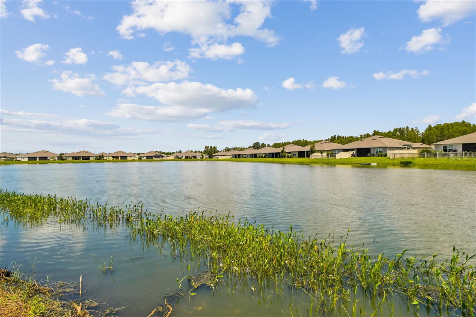 Image 15 of 25 For 17784 Turning Leaf Circle