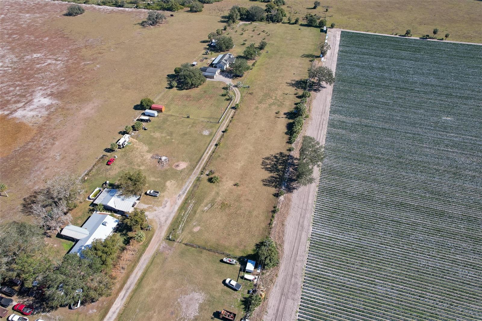 Details for Maston Grove Lane, DOVER, FL 33527