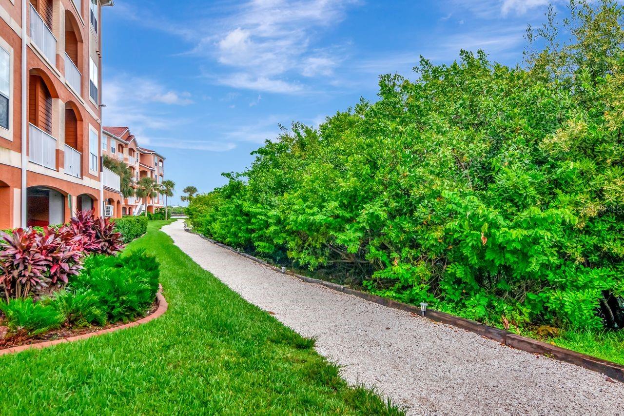 Image 37 of 47 For 5000 Culbreath Key Way 9-121