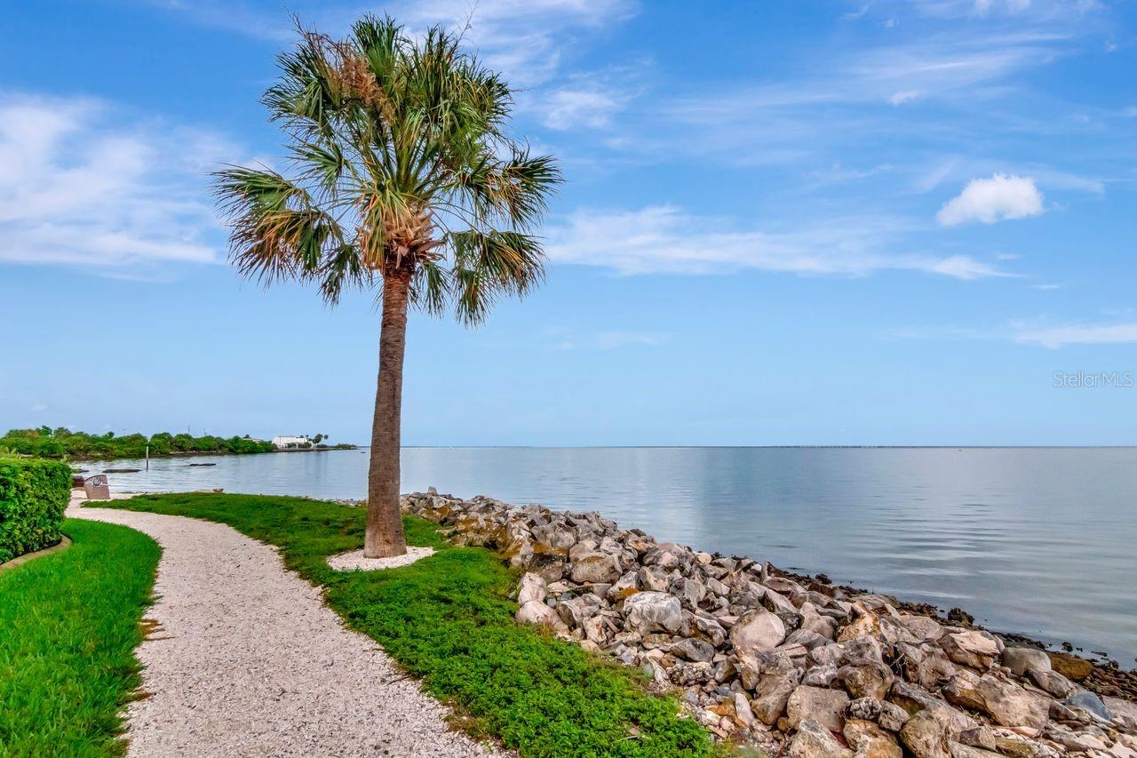 Image 46 of 47 For 5000 Culbreath Key Way 9-121