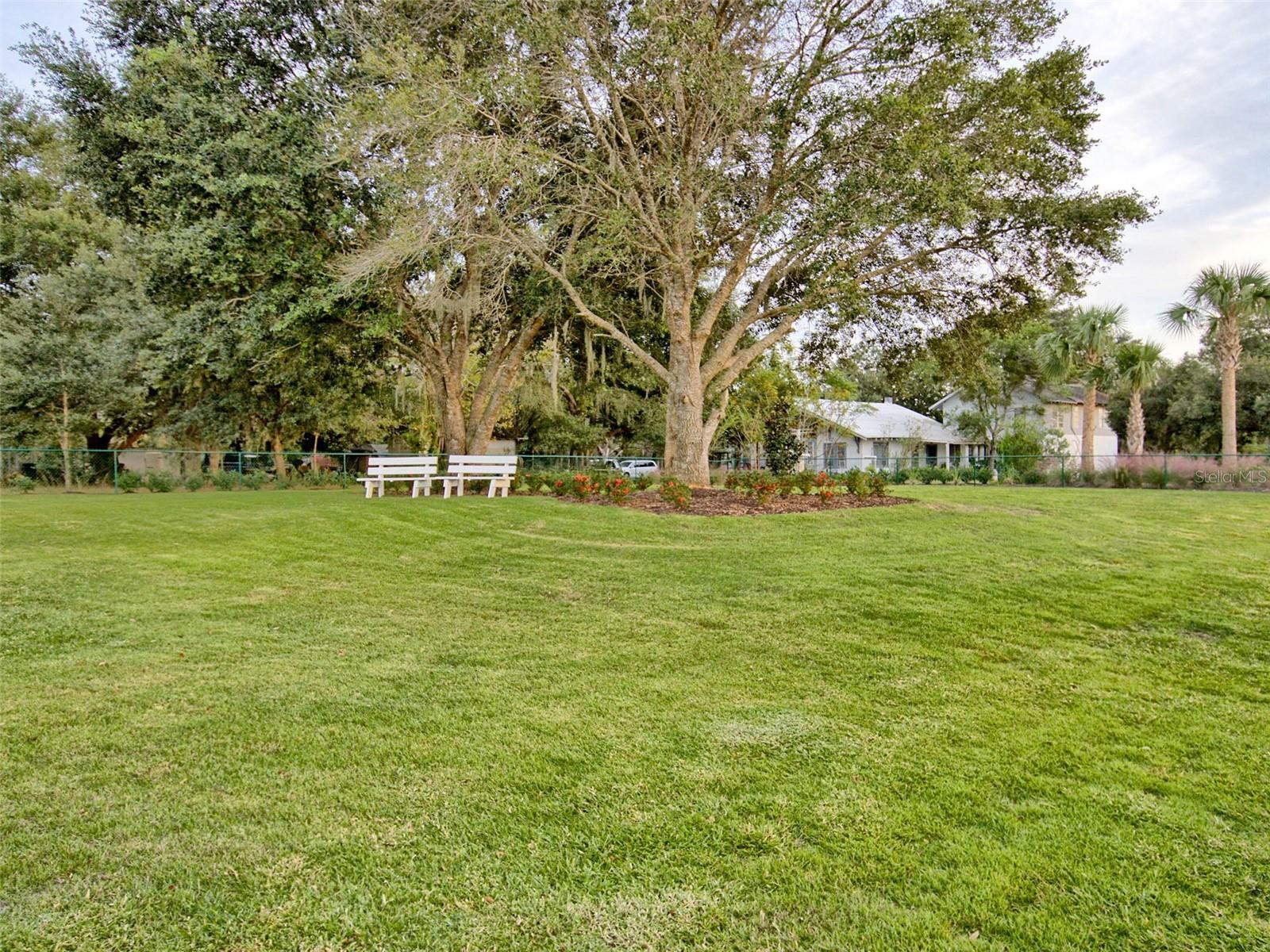 Image 51 of 69 For 341 Conch Key Lane