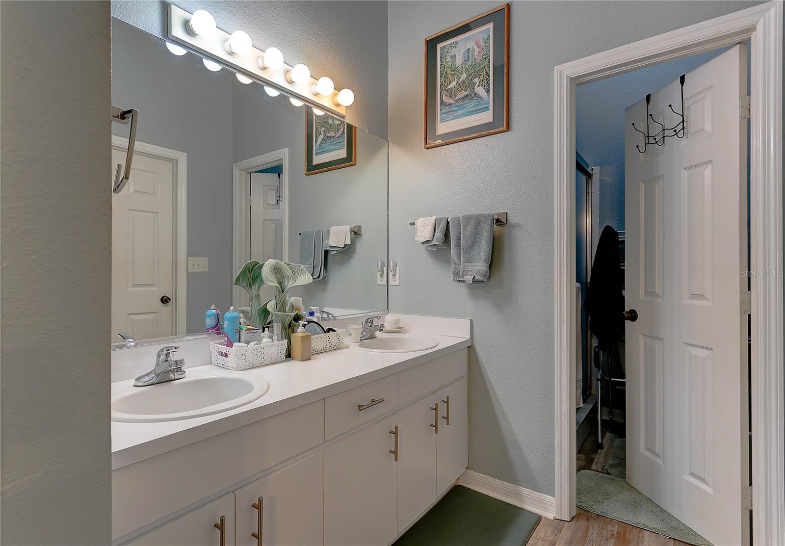 Image 19 of 28 For 8405 Terrace Meadows Court 8405