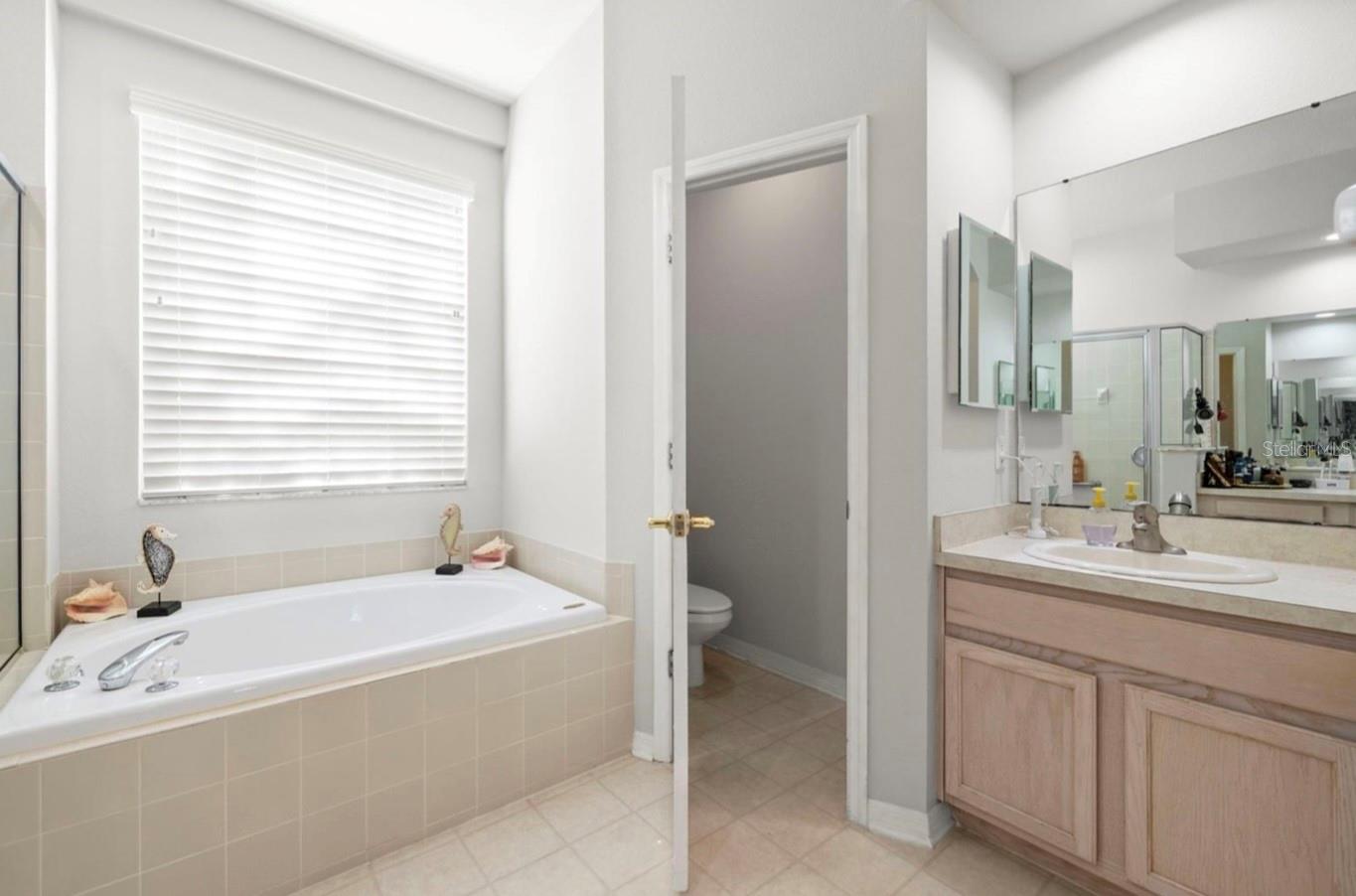 Listing photo id 12 for 19104 Cellini Place