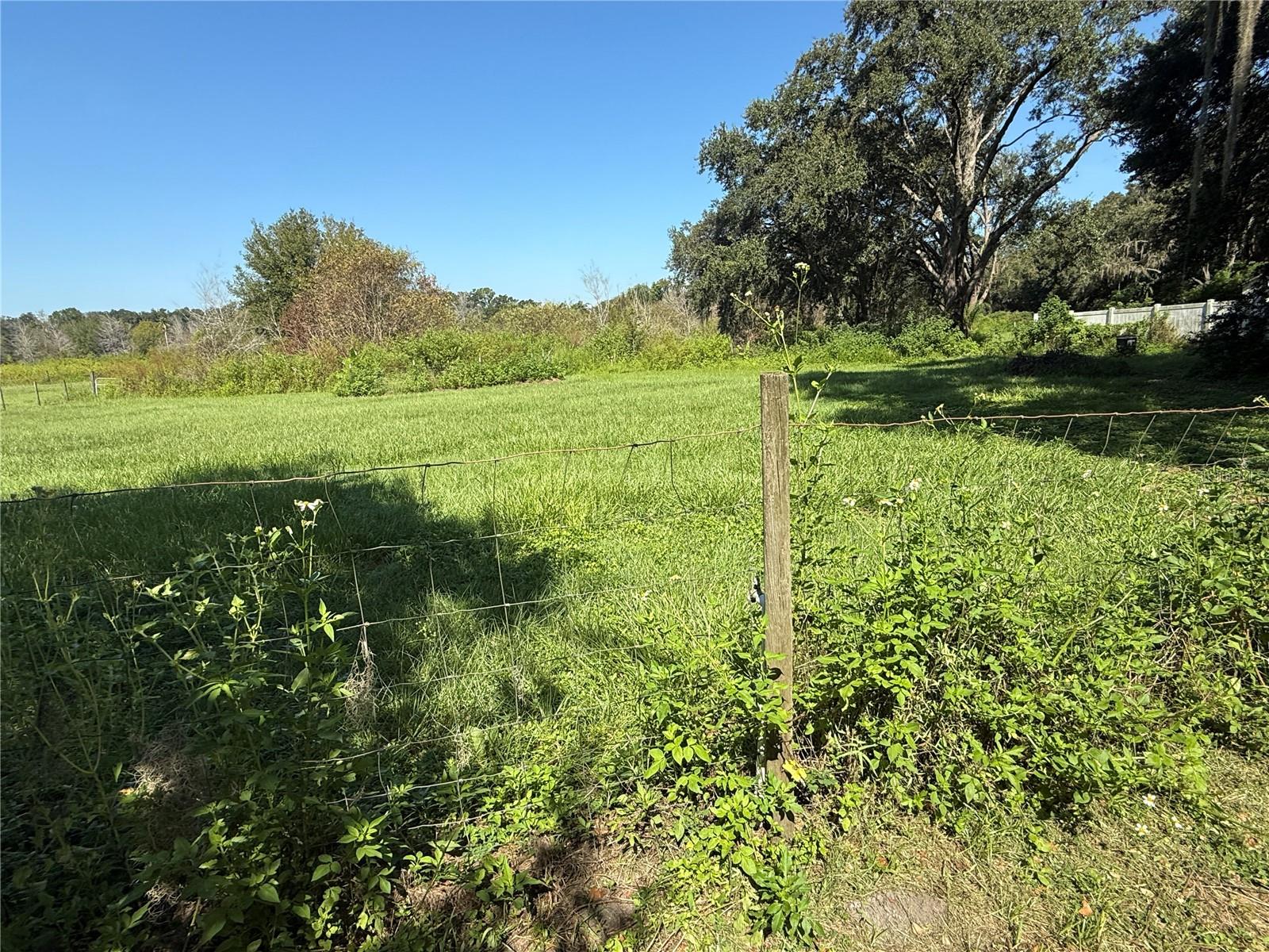 Image 15 of 54 For 8351 Clara Drive