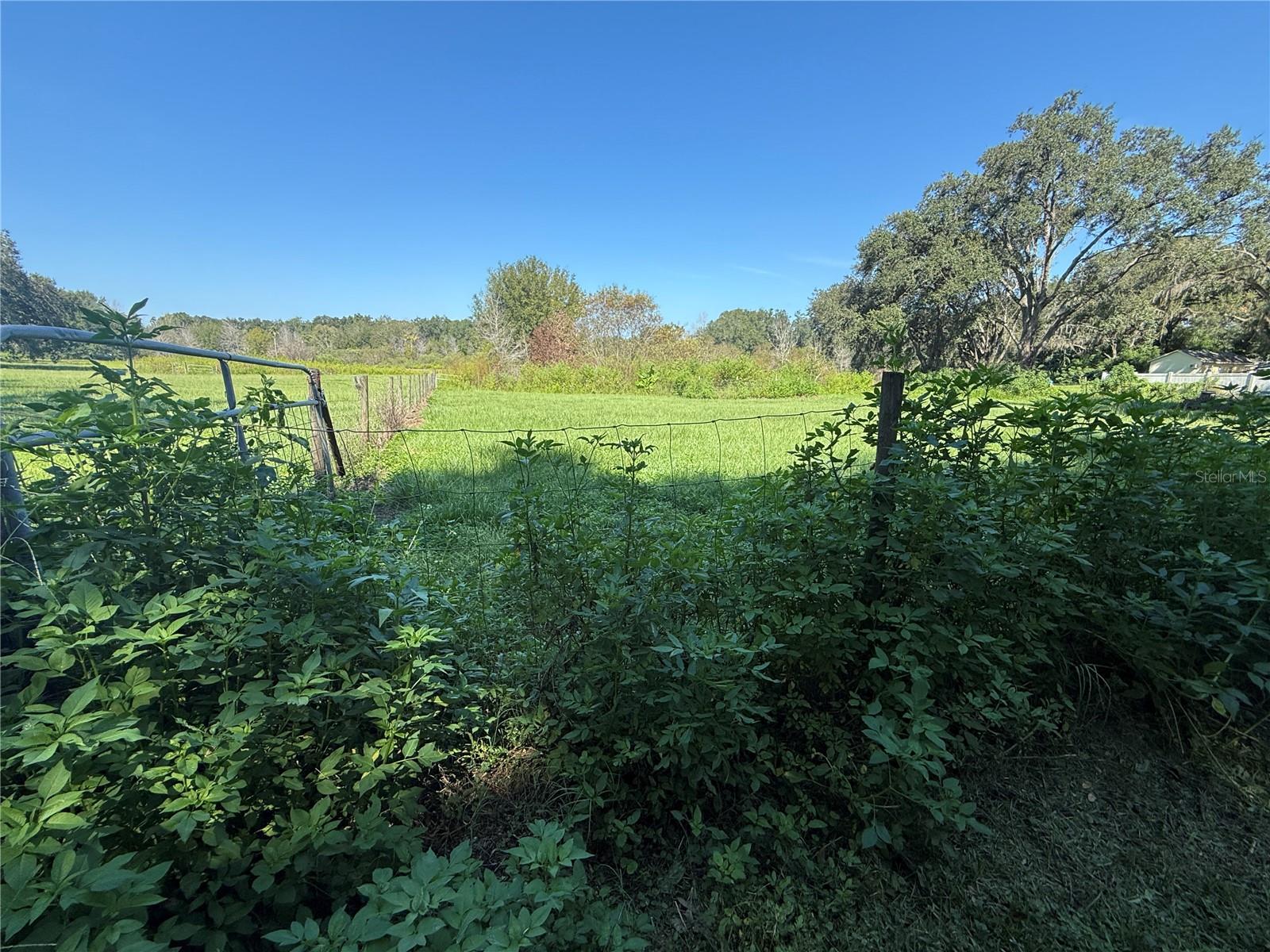 Image 16 of 54 For 8351 Clara Drive