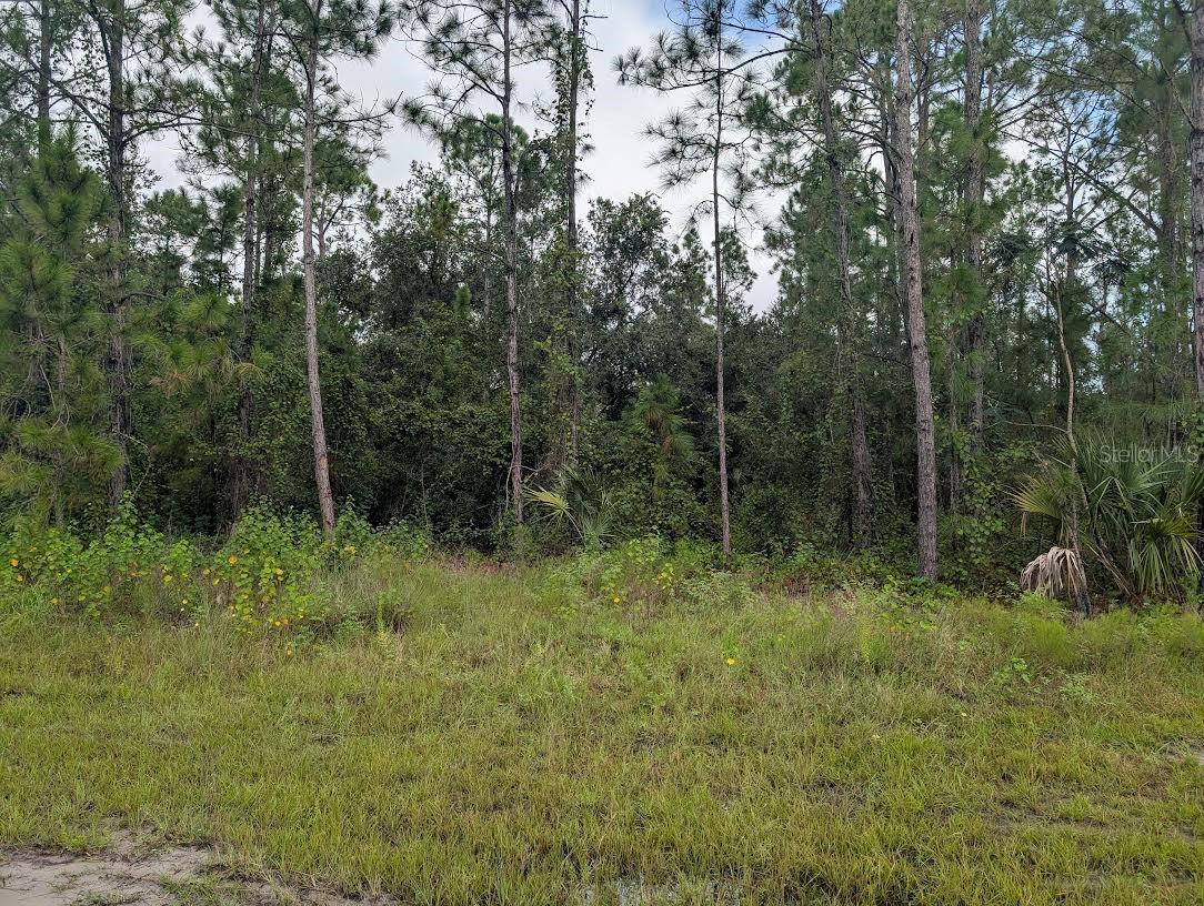 Image 2 of 36 For 1122 Poinciana Drive