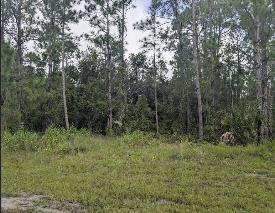 Image 5 of 36 For 1122 Poinciana Drive