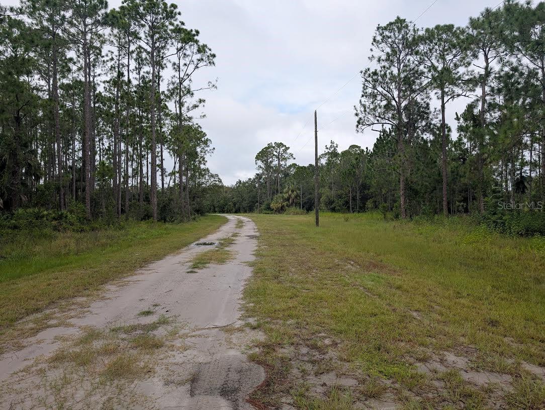 Image 6 of 36 For 1122 Poinciana Drive