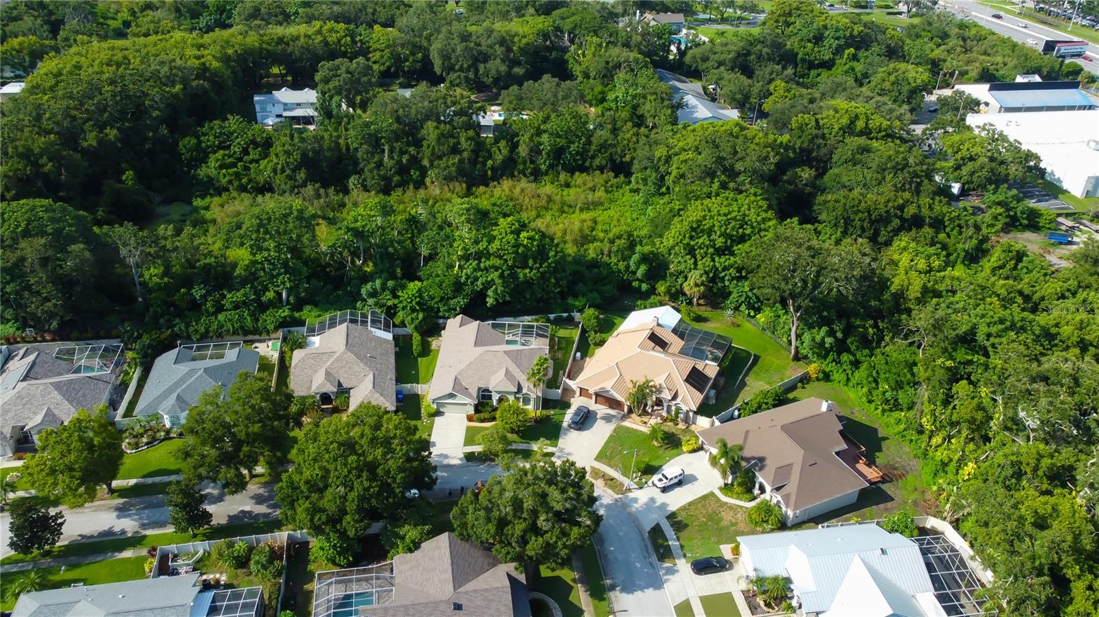 Listing photo id 59 for 2379 Azalea Drive