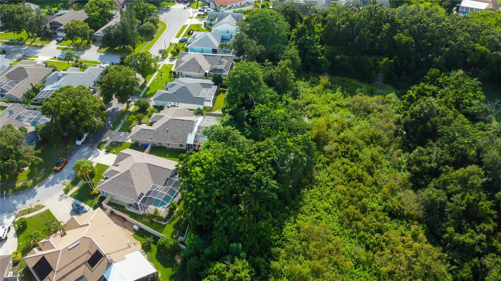 Listing photo id 65 for 2379 Azalea Drive