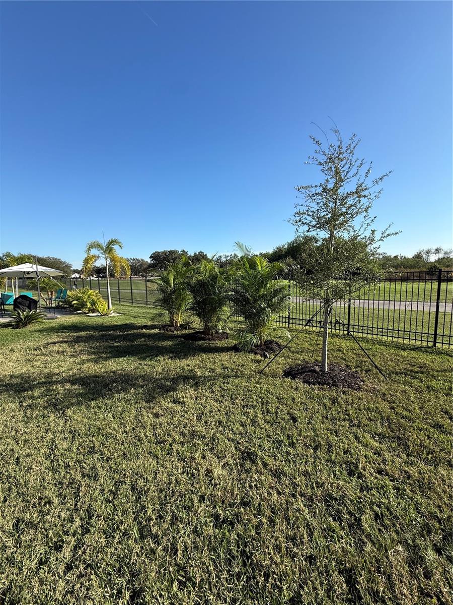 Listing photo id 24 for 10720 Klee Avenue