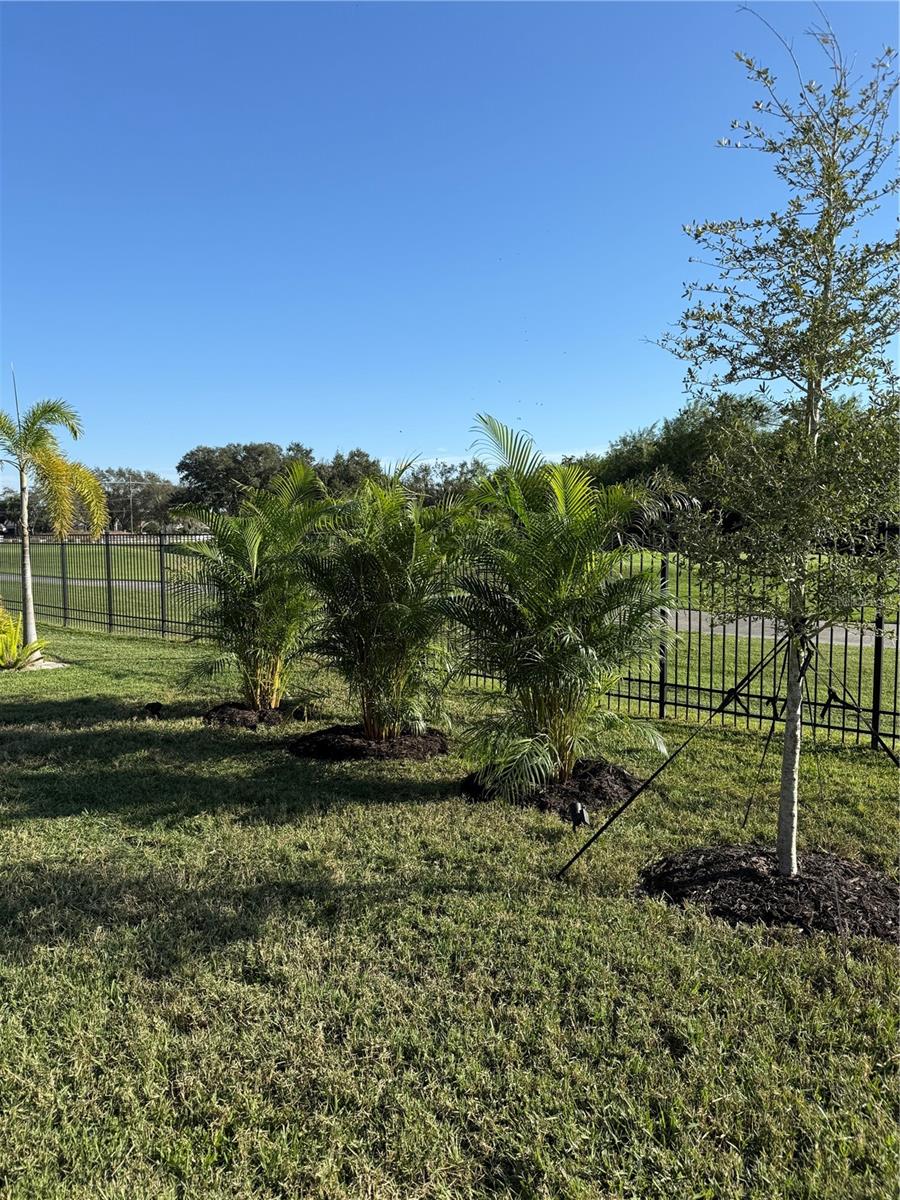 Listing photo id 25 for 10720 Klee Avenue