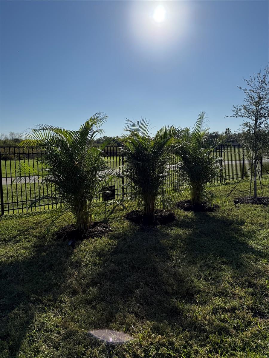 Listing photo id 26 for 10720 Klee Avenue