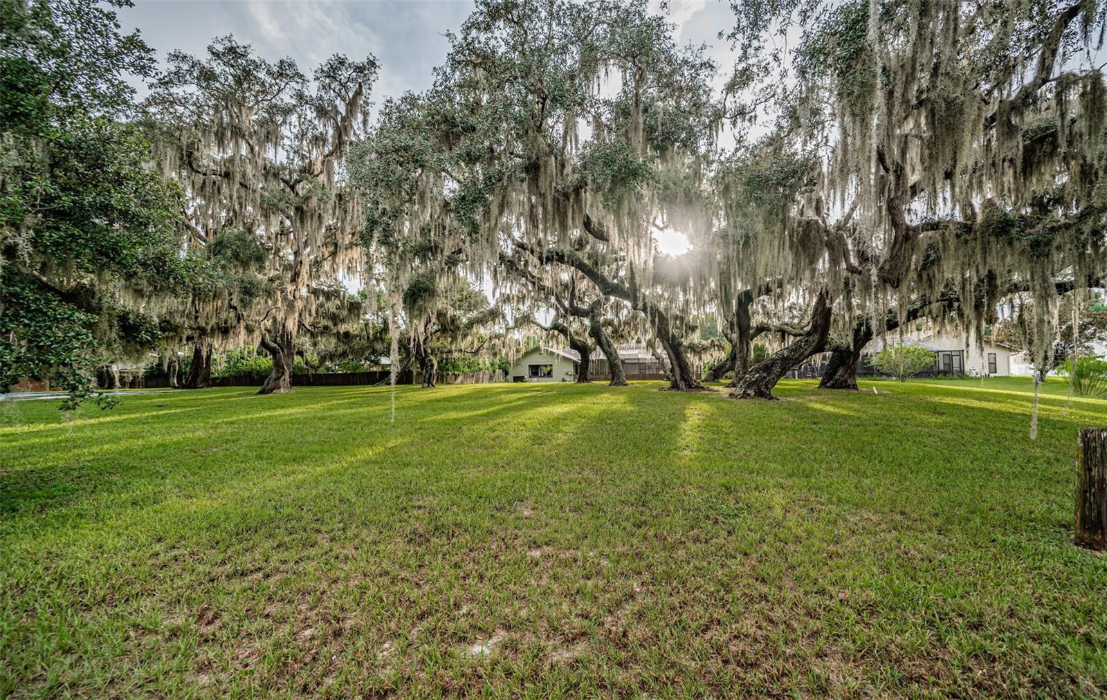 Image 79 of 81 For 3853 Sunrise Lane