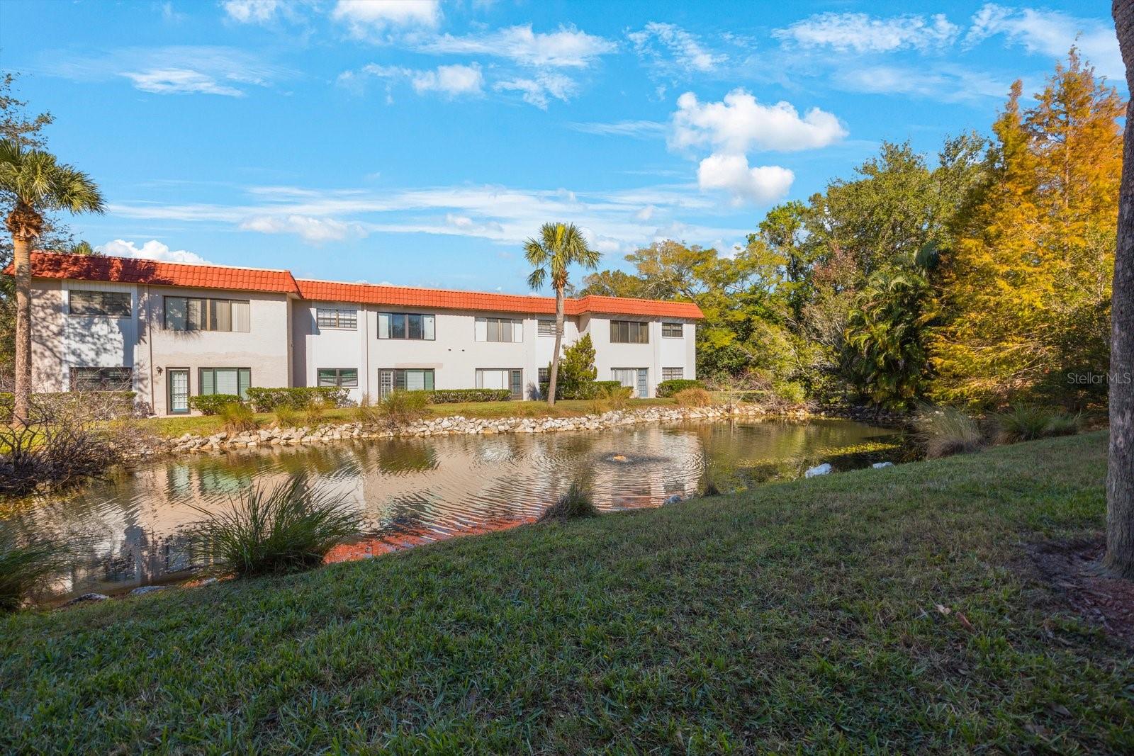 Image 3 of 38 For 1753 Belleair Forest Drive E4