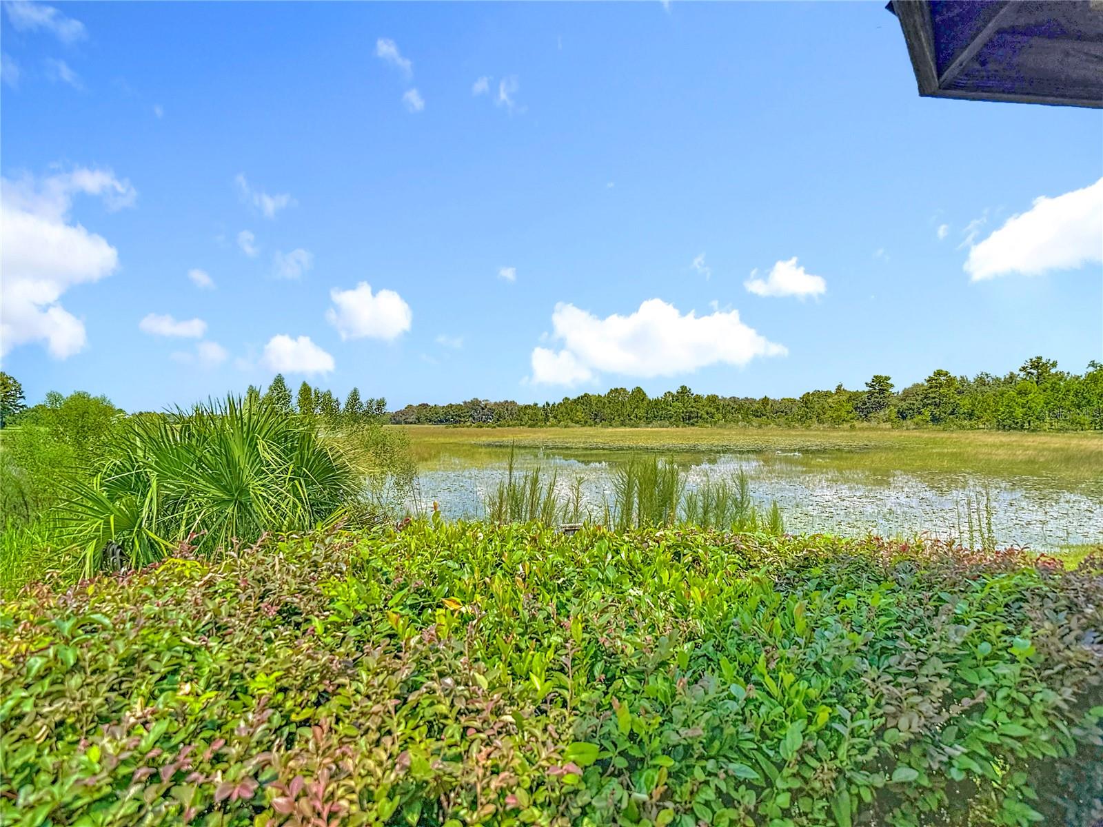 Image 70 of 73 For 11009 Woodland Waters Boulevard