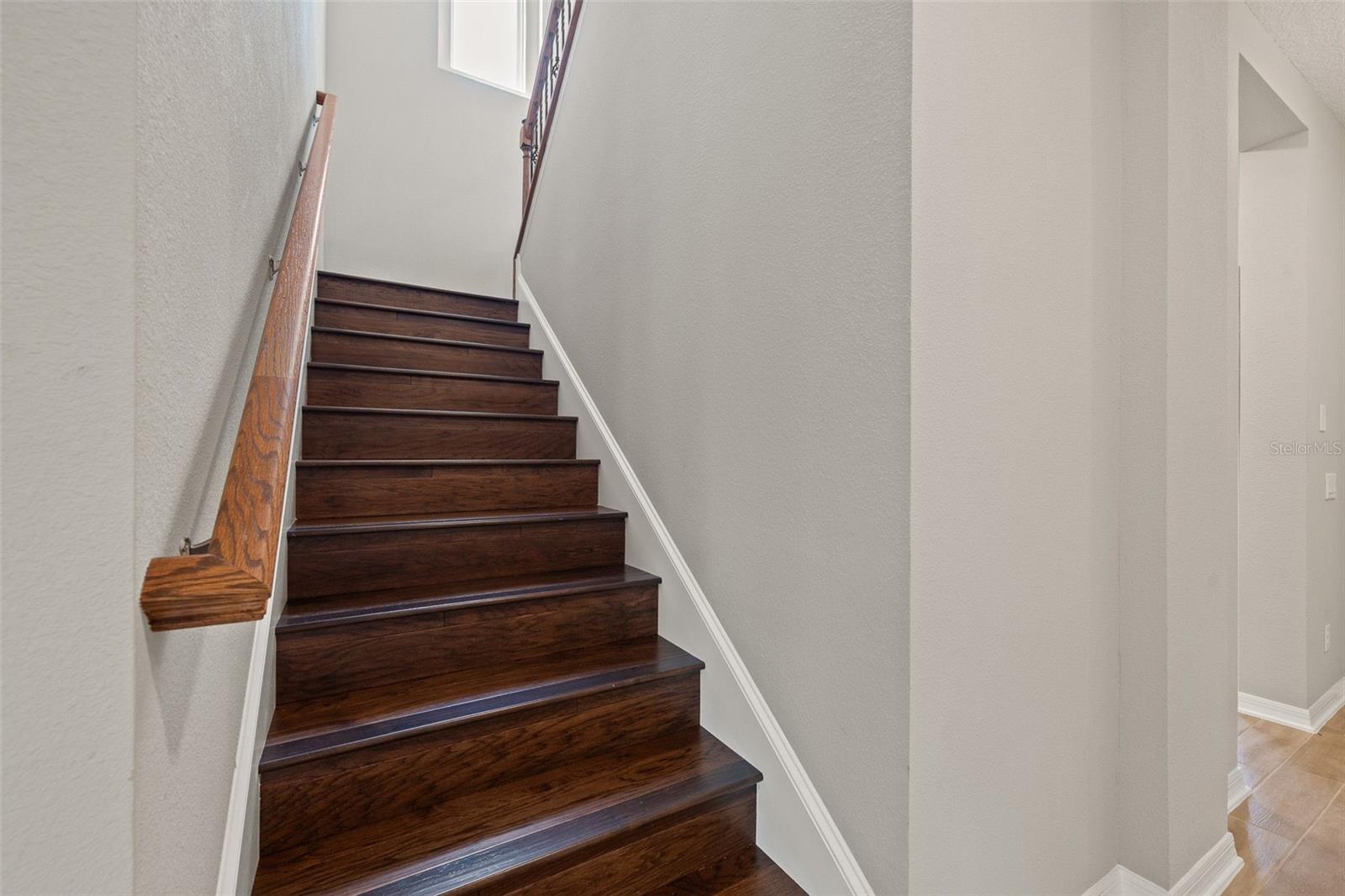 Image 18 of 47 For 31954 Sapna Chime Drive