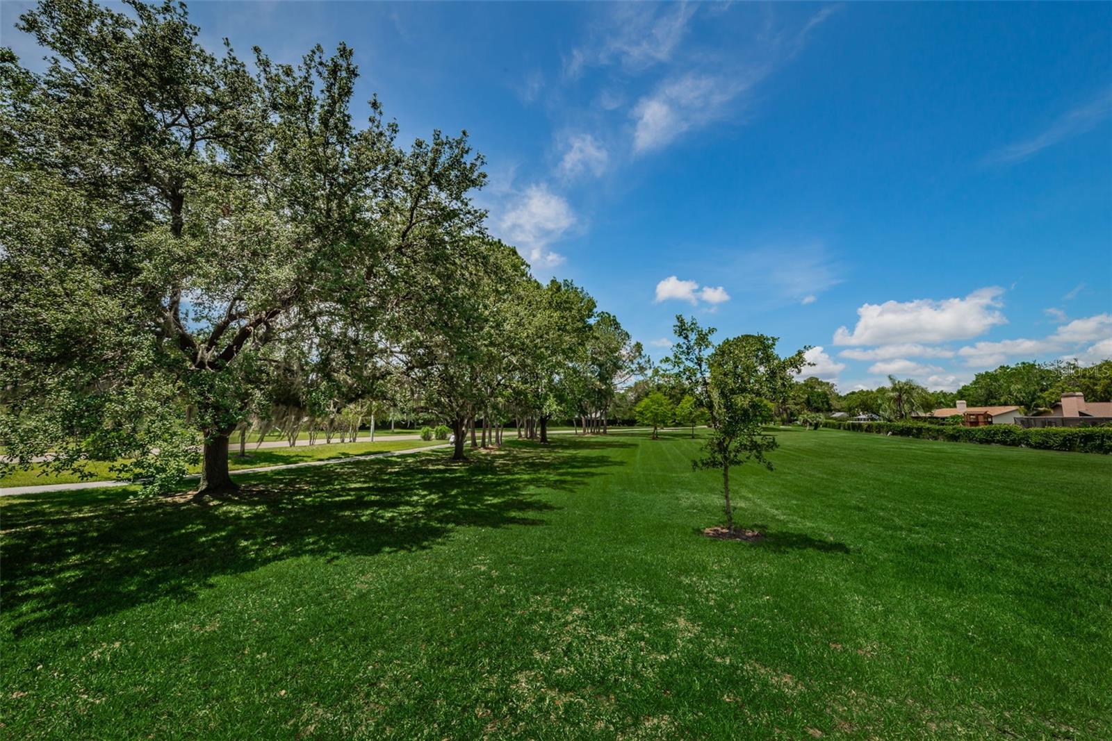 Image 75 of 82 For 14009 Middleton Way