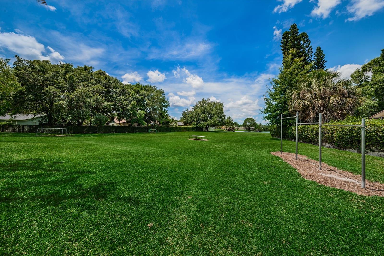 Image 81 of 82 For 14009 Middleton Way
